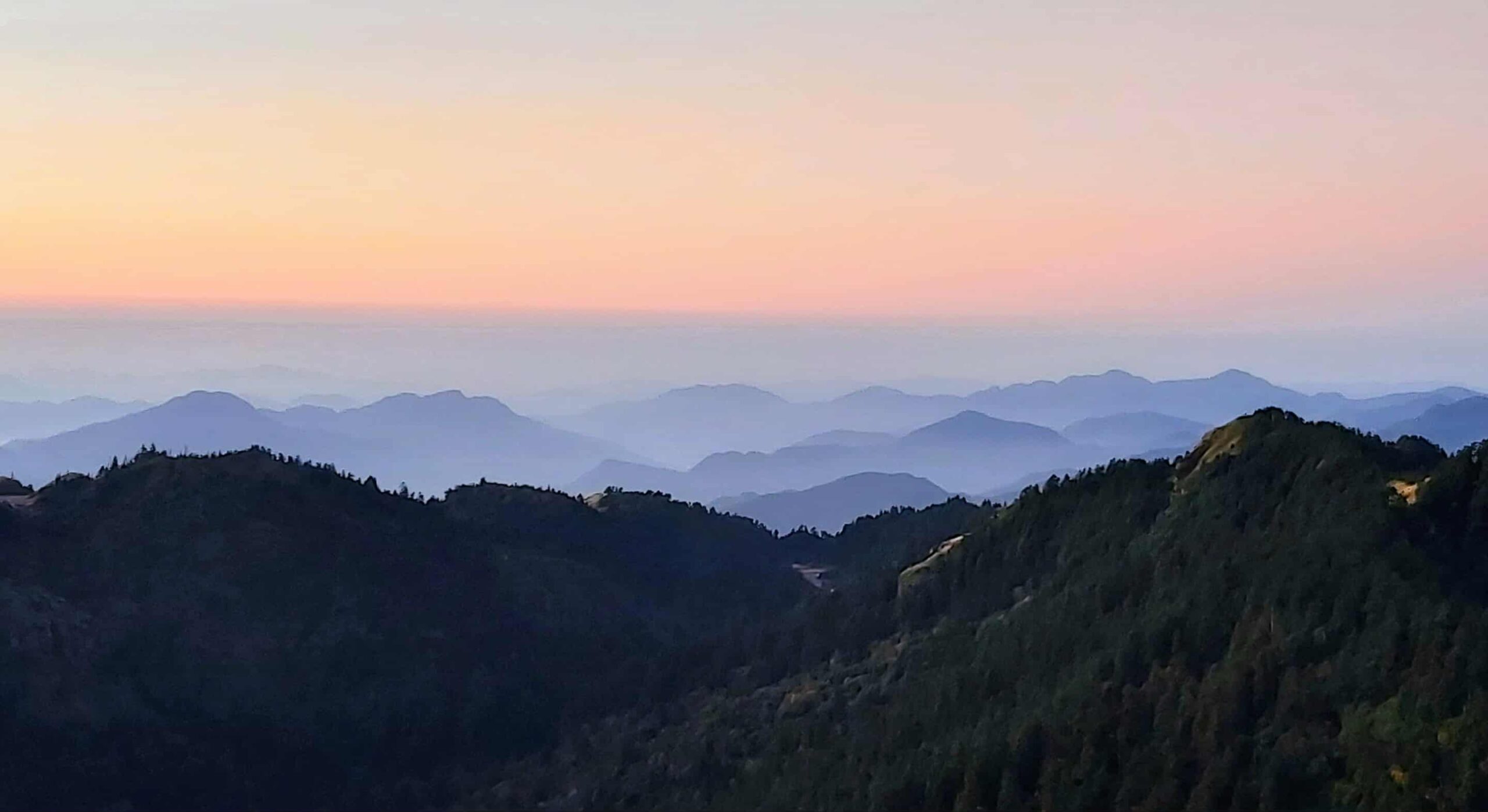 #20 Långt har vi rest med språk i krusidull, samlat erfa och minnen  i huvudet full.