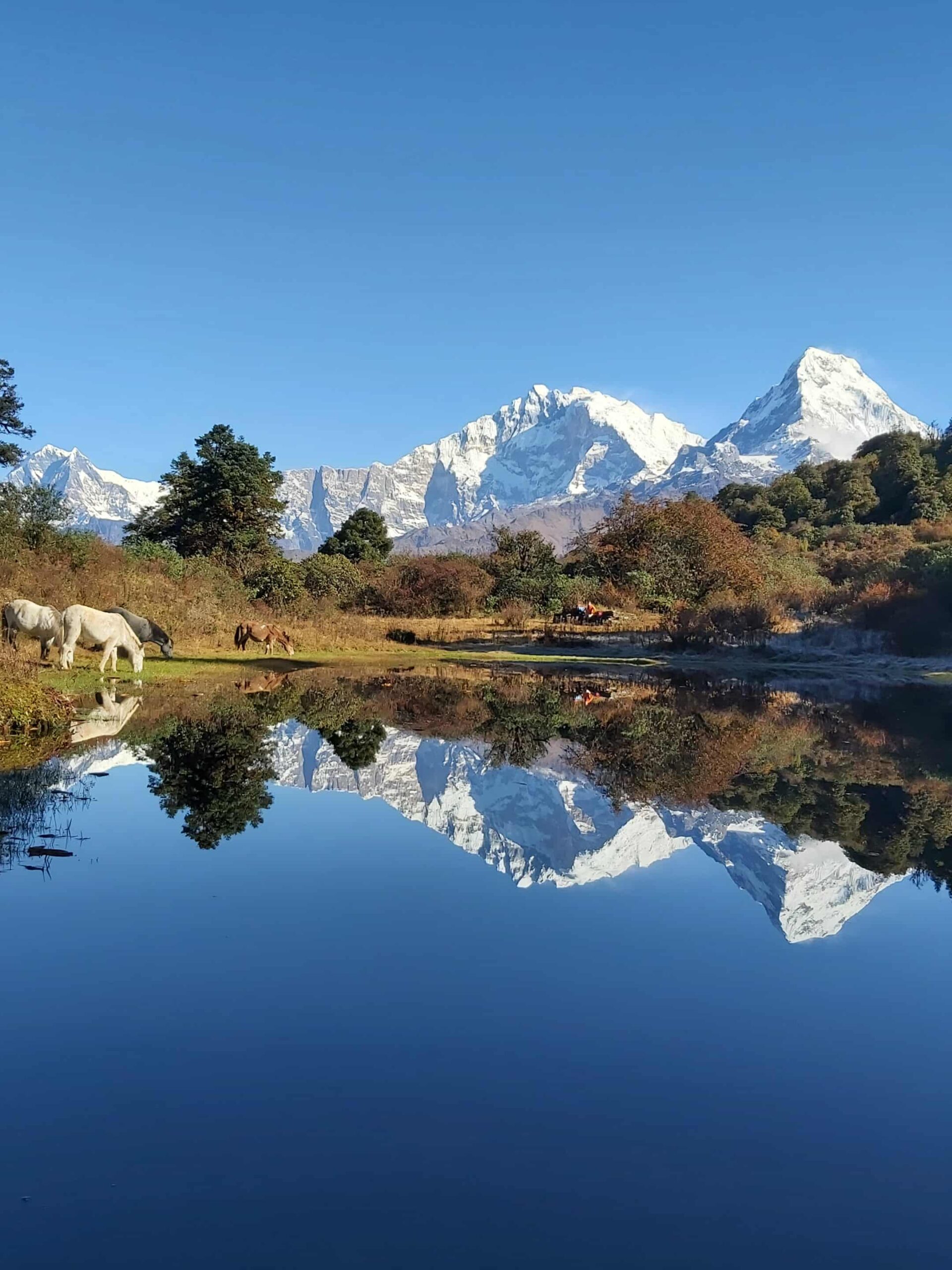 #18 Vandring upp till himmels höjd, ser toppar och är jättenöjd